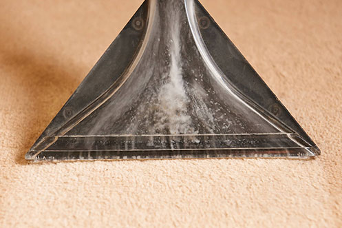 Cleaning area rug | Buckway Flooring