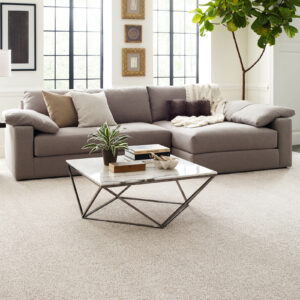 Modern living room interior | Buckway Flooring